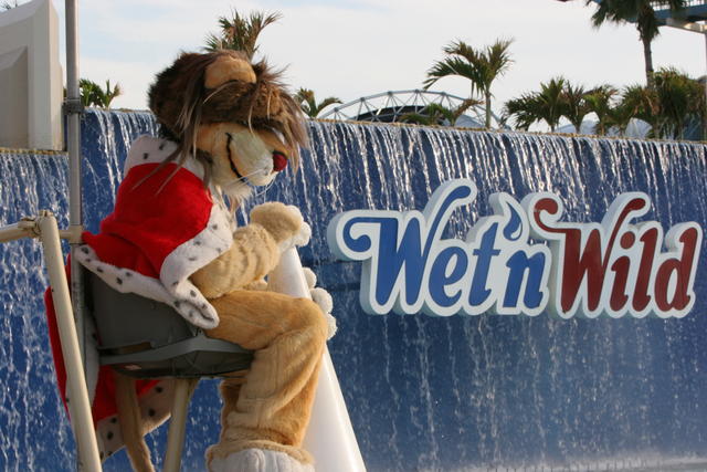 Elliott Lifeguard